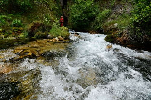 Grotte de Castelbouc - Débouché dans le Tarn de la rivière sortant de la grotte (SP-18-1465)